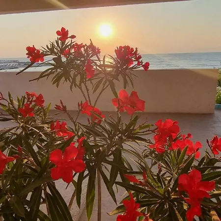Iulia Hotel 3*